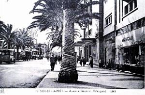 Sidi-Bel-Abbes - Avenue du General Weygand - 1942